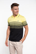 Load image into Gallery viewer, Arora